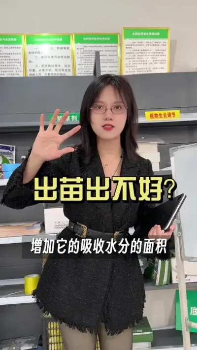 出苗出不好怎么办？#大姜种植 #抖音助农扶农 #乡村生活家 #新农人计划2025