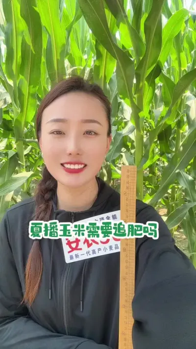 夏播玉米需要追肥吗 高产需要投入，但是也看投入产出比，为了一点产量把自己肋骨鼻也不划算，年龄大的还是一炮轰把，总控释肥，总归有点用#玉米产量高 #抖音助农 #安农98 #三农