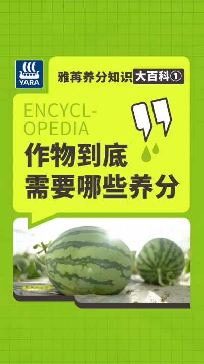 雅苒养分知识大百科①，作物到底需要哪些养分#雅苒国际 #农业种植 #肥料 #水溶肥 #复合肥 
