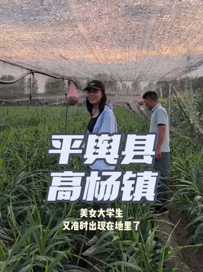 前两天，在河南客户热情介绍下去到沈丘一个姜地里去看姜。姜户除了20亩姜地以外还是一个走南闯北的西瓜代办，听客户介绍我说是&ldquo;大老师&rdquo;&ldquo;大老师&rdquo;，内心一直假想我是一个40-50岁，皮肤黝黑的老头。没想到见