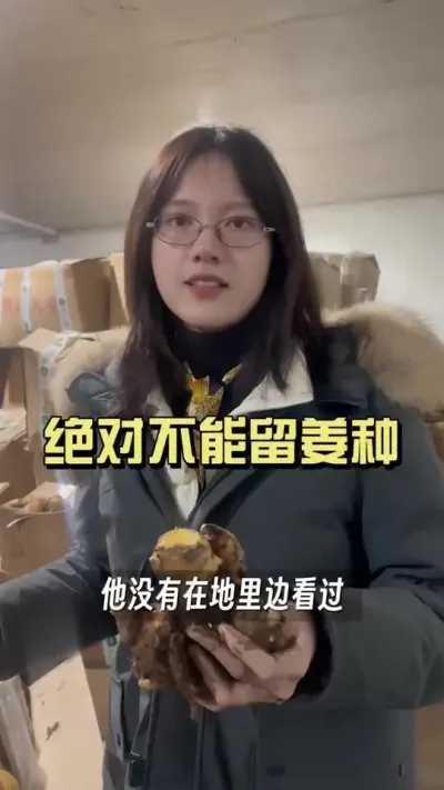 跟大家说说姜种上的这个风险点，地里出现这个情况的，绝对不能留姜种！#新农人计划2026 #来抖音学农技 #乡村守护人 #大姜种植 #姜种