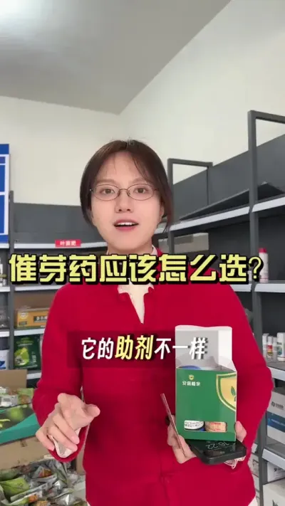 怎么选合适的催芽药？同样都是催芽药，为什么效果相差甚远？#抖音助农扶农 #乡村生活家 #大姜种植 #新农人计划2025