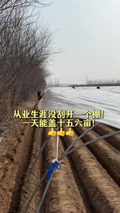 十年刮不开！260一亩地你觉得划算吗？#乡村生活家 #抖音助农扶农 #大姜种植 #新农人计划2025