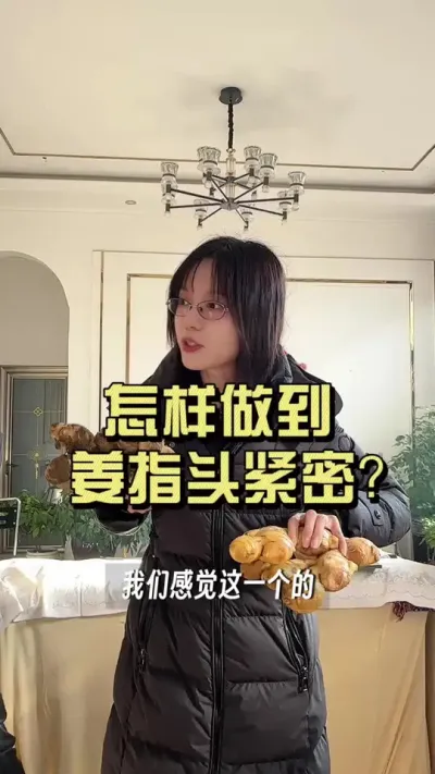 想要姜指头长的紧密，绝对不是光靠大培小培喂肥就行的，更重要的是&hellip;&hellip;#新农人计划2025 #来抖音学农技 #乡村守护人 #大姜种植
