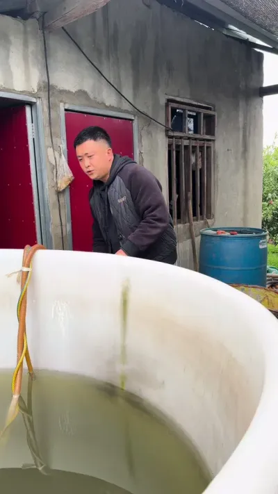 新疆矿源黄腐酸钾，20斤重一袋#关注我每天为你分享更多农业知识 #三农 #矿源黄腐酸钾 #柑橘种植