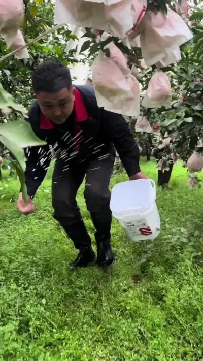 硼肥一亩地两斤，表弟，均匀的撒开#关注我每天为你分享更多农业知识 #硼肥的功效与作用 #好物推荐🔥 #源头好货 #三农