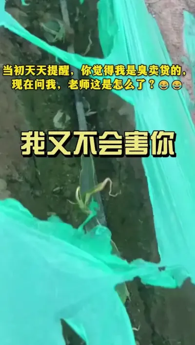 当初天天提醒，你觉得我是臭卖货的， 现在问我，老师这是怎么了？[捂脸][捂脸]#新农人计划2025 #种植技术 #来抖音学农技
