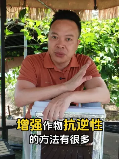 高温日灼、作物干枯黄叶、脐腐萎蔫等等，作物的逆境非常多。 #黑岩氨基酸 #促花保果 #膨果增甜 #生根壮苗 #增产