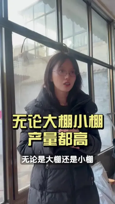 无论你是新手老手大棚小棚，用这个方法，都能有一个好产量！#新农人计划2025 #来抖音学农技 #乡村守护人 #大姜种植