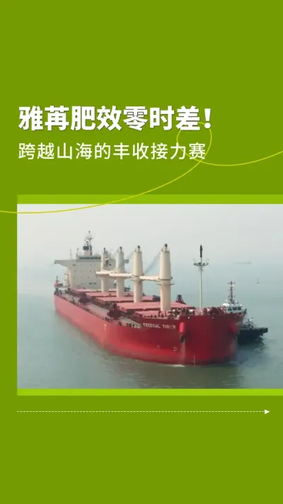 雅苒肥效零时差！跨越山海的丰收接力赛#雅苒国际 #农业种植 #肥料 #复合肥 #水溶肥 