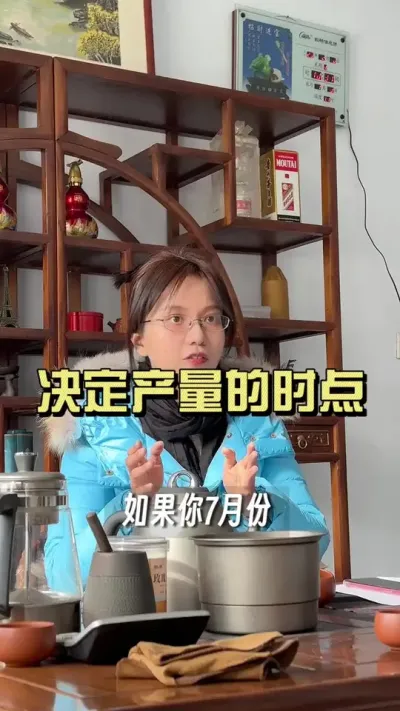 产量的高低，在什么时候就成了定局了呢？#乡村生活家 #抖音助农扶农 #大姜种植 #新农人计划2025