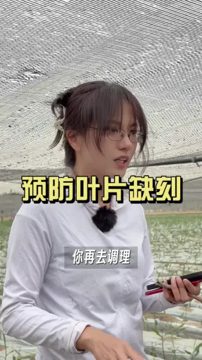 别等到叶子这样了再去调理，初期出现这个情况咱们就要注意了&hellip;&hellip;#新农人计划2025 #乡村守护人 #来抖音学农技 #大姜种植