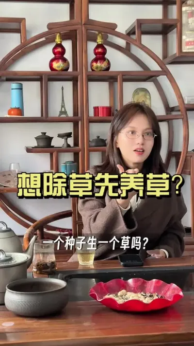 除草还有这种打法？#大姜种植 #抖音助农扶农 #乡村生活家 #新农人计划2025