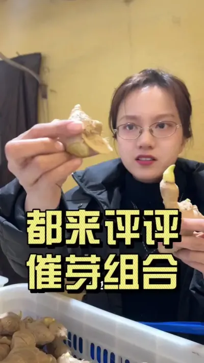 看看咱们这个用昂贵的催芽组合催的姜芽&hellip;&hellip;#抖音助农扶农 #乡村生活家 #大姜种植 #新农人计划2025