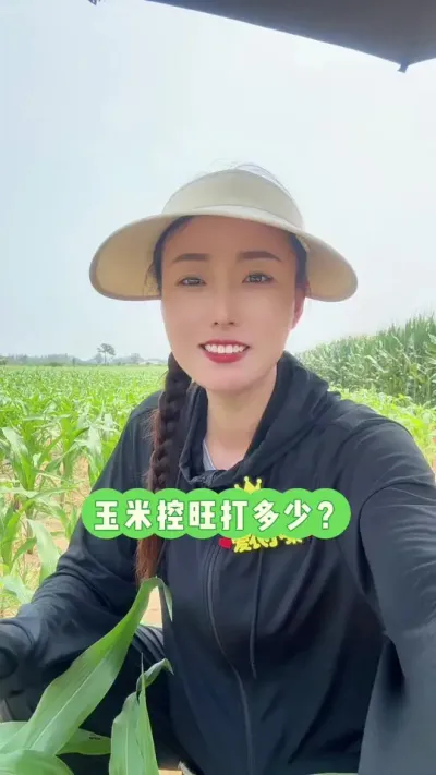 玉米控旺药打多少合适？ 看天看地看苗情定用量#玉米控旺 #三农 #农业种植 #富兴698 #玉米高产种植技术