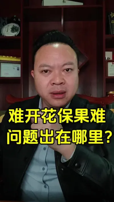 促花难，稳不住果，到底哪里出了问题？#促花保果 #果树管理 #保果 #果树 #果树种植