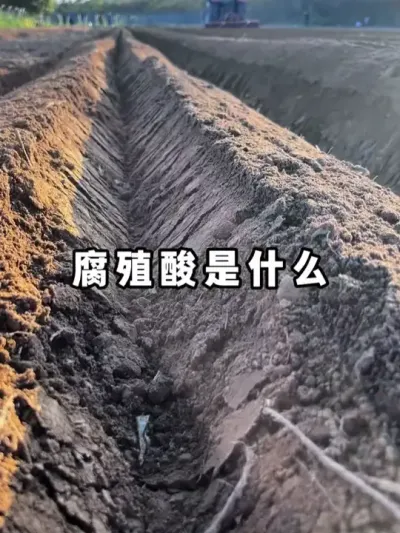 腐殖酸就像土壤的&ldquo;协调员&rdquo;和&ldquo;修复师&rdquo; #土壤改良 #腐殖酸 #微生物 #有机质 #农业种植