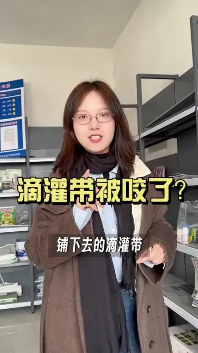 滴灌带被咬了？#乡村生活家 #抖音助农扶农 #大姜种植 #新农人计划2025 #来抖音学农技