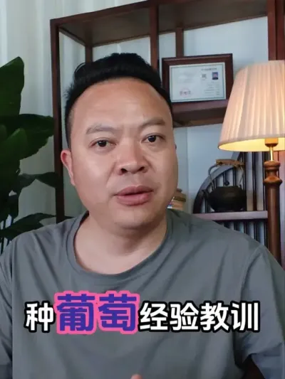 葡萄颜色差一分，价格差好几倍。 #葡萄种植 #葡萄增甜 #葡萄上色 #膨果增甜 #傲靓LPE
