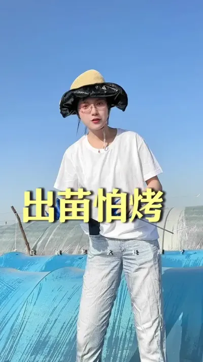 出苗怕烤应该怎么处理呢？#抖音助农扶农 #乡村生活家 #大姜种植 #新农人计划2025