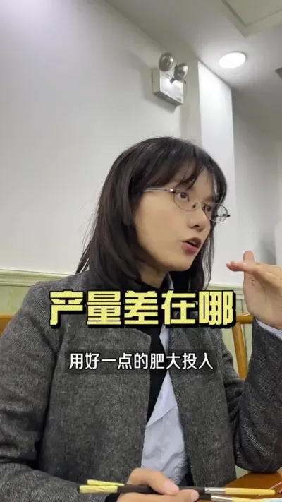 大姜产量到底差在哪？#新农人计划2024 #乡村生活家 #大姜种植 #来抖音学农技