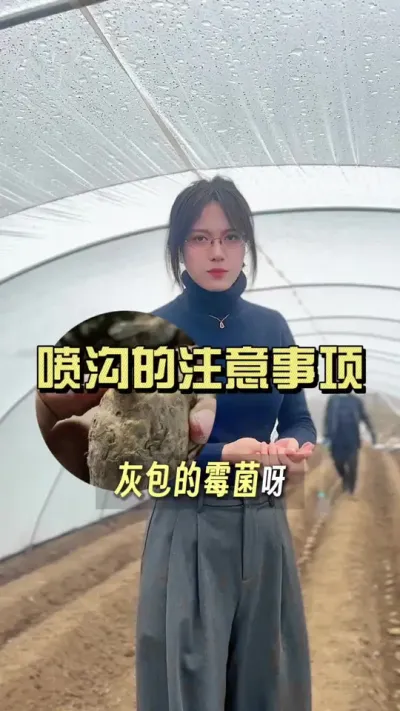 大姜喷沟要注意些啥？#大姜种植 #乡村生活家 #抖音助农扶农 #新农人计划2025 #来抖音学农技