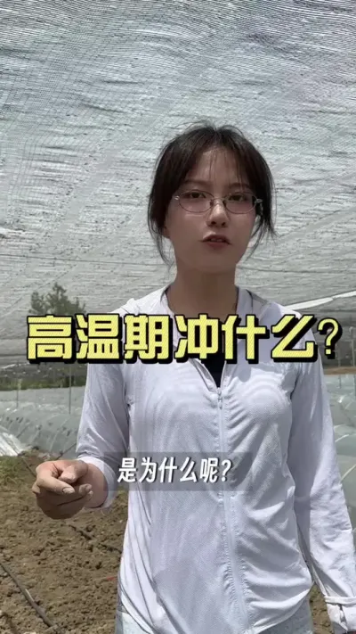 这几天很多朋友给我发过来新叶变黄，变薄，姜心水烂的图片，基本上都是分化期间容易出现的问题。为了让姜更好的分叉，这时候给它补充钙和氨基酸，是很好的选择。第一可以促进姜片及时分杈，第二可以调理头芽苗情长势