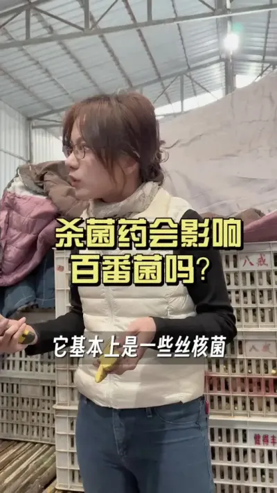 杀菌药会影响百番菌的效果吗？#大姜种植 #抖音助农扶农 #乡村生活家 #新农人计划2025
