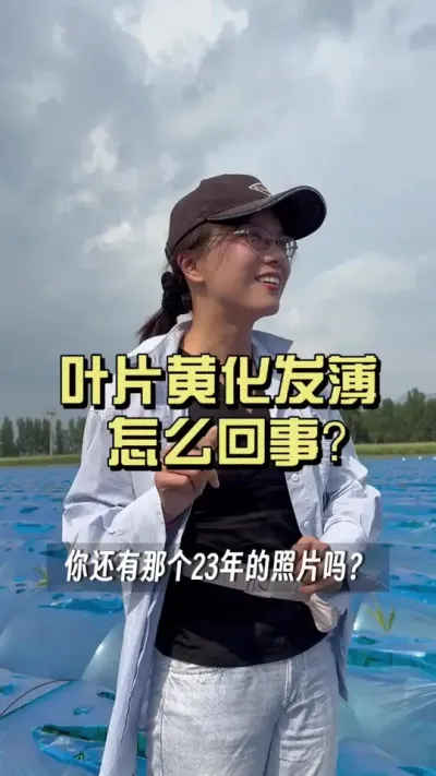 最近大姜叶片黄化问题各地多发而且严重，它是怎么发生的？我们又该怎么解决呢？#新农人计划2025 #来抖音学农技 #大姜种植 #乡村守护人 #大姜黄化