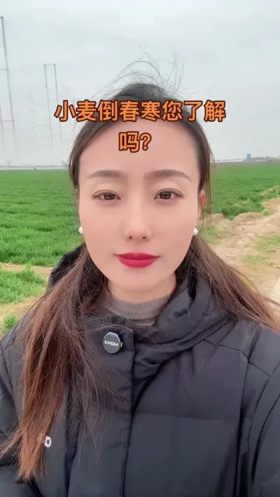 小麦倒春寒咋回事 防冻原理很简单，人最抗冻的是青壮年，老弱病残冷了就多添衣，让小麦细胞液浓度增加，外面加层铠甲就行了，一般提前三五天打药，磷酸二氢钾可以用到200克#三农 #抖音助农 #服务三农支持三