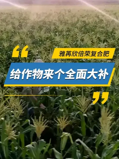 雅苒欣倍荣复合肥，给作物来个全面大补 #雅苒国际 #肥料 #农业种植 #复合肥 #雅苒欣倍荣
