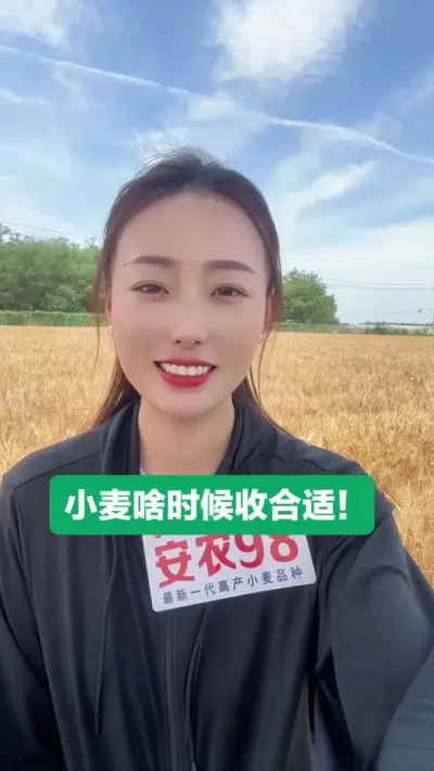 小麦什么时候收获产量最高！ 小麦13或者14个水份就符合收粮标准，您家小麦今年多大产量呢？#三农 #服务三农 #支持三农服务三农 #抖音助农扶农 #安农98