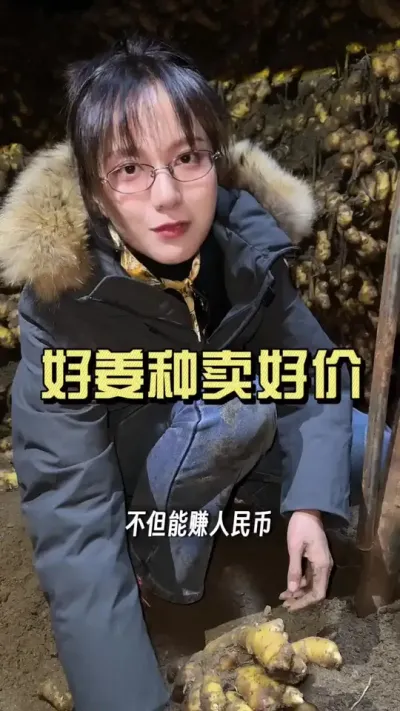 看看客商最喜欢的姜什么样？#新农人计划2025 #乡村守护人 #来抖音学农技 #大姜种植