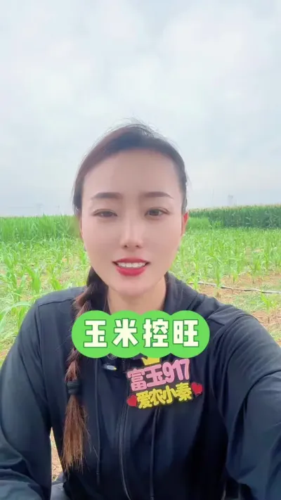 玉米控旺 时间有限，讲的偏快，不明白的评论区问#玉米控旺 #抖音新农人 #富玉917 #三农