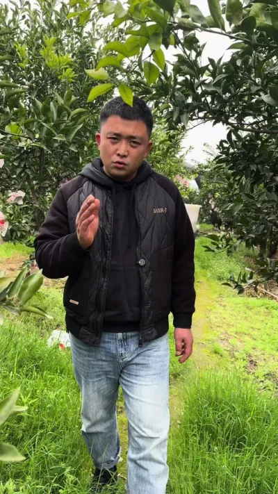 硼肥一年使用两次#关注我每天为你分享更多农业知识 #硼肥的功效与作用 #好物推荐🔥 #柑橘种植