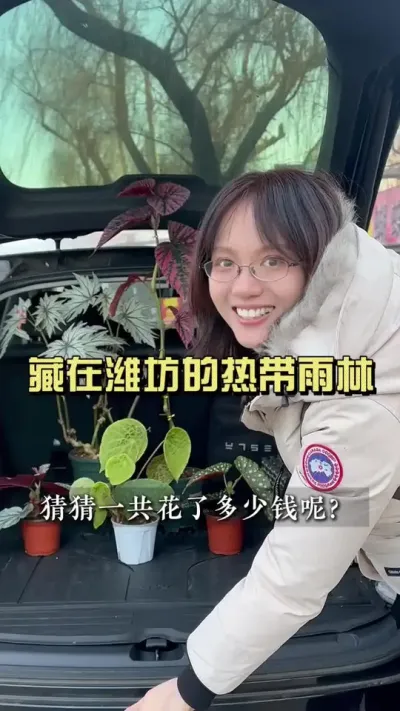 看起来很贵的那些绿植，在这个村里可以随便挑！！实现热植自由！#乡村生活家 #抖音知识年终大赏 #新农人计划2024 #花卉绿植