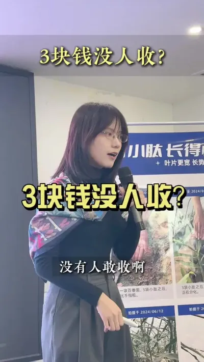 今年有的地方3块钱的青苗都没人收，为什么？#乡村生活家 #新农人计划2024 #大姜种植 #来抖音学农技