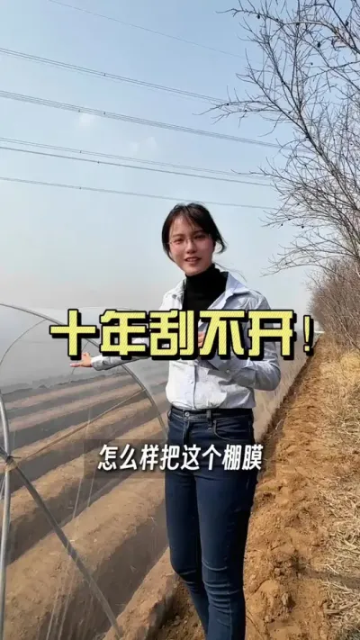 只有难抽，没有刮开过的棚膜是怎么压的？#大姜种植 #乡村生活家 #抖音助农扶农 #新农人计划2025