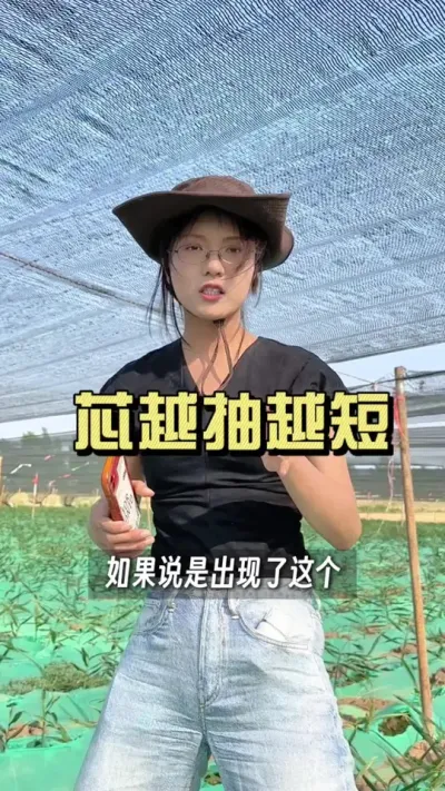 高温来临烂芯高发！咱们这段时间的管理要注意这个操作&hellip;&hellip;#新农人计划2025 #乡村守护人 #大姜种植 #来抖音学农技
