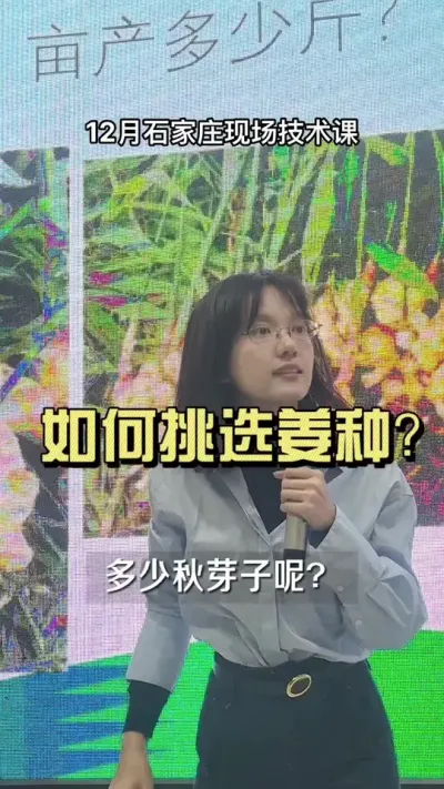 如何选到合适的姜种？什么样的姜种不能要？#新农人计划2024 #乡村生活家 #大姜种植 #来抖音学农技