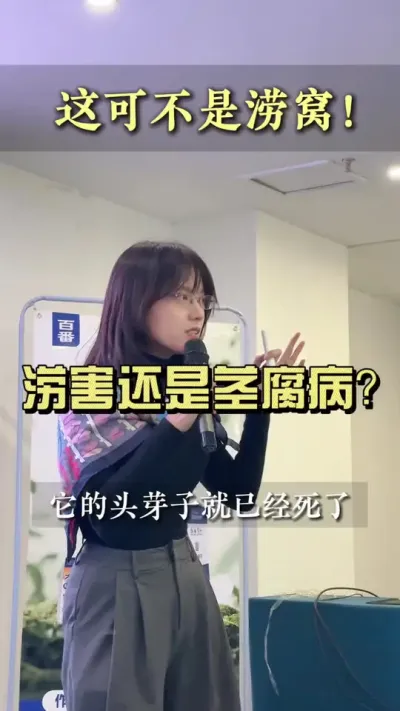 这个可不是涝窝！你们知道这是什么原因导致的吗？#新农人计划2024 #乡村生活家 #大姜种植 #来抖音学农技