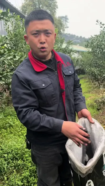 矿源黄腐酸钾活动来了，量大更优惠，生根促根，可撒克冲#上热门🔥 #三农 #好物推荐🔥 #矿源黄腐酸钾