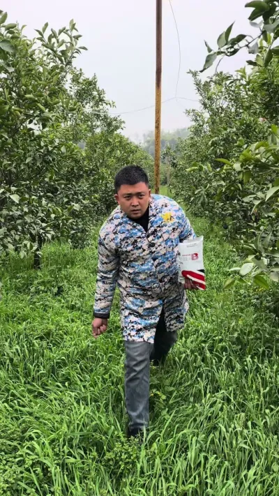 硼肥一亩地用一公斤，一年使用2次，视频链接可以下单#好物推荐🔥 #颗粒硼 #柑橘种植
