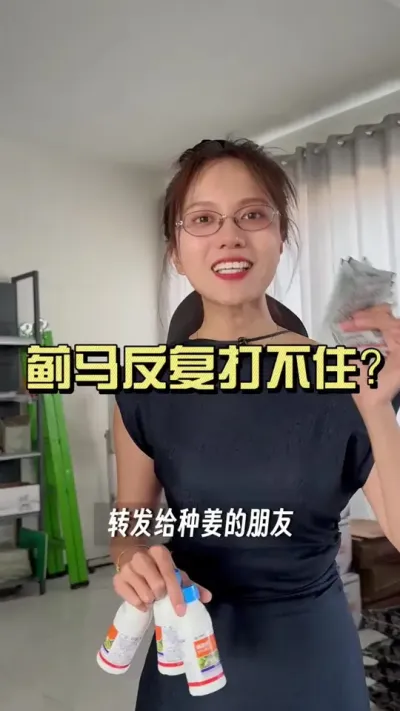 蓟马为啥老打不住？你知道蓟马怎么打才高效吗？#新农人计划2025 #乡村守护人 #大姜种植 #来抖音学农技