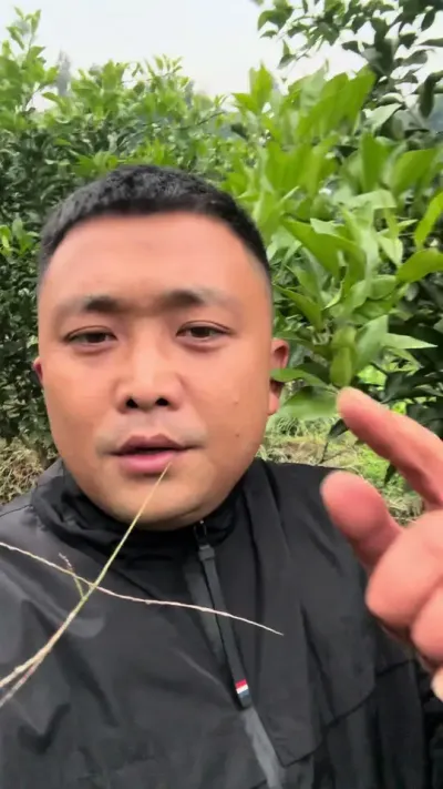 三思而后行哦，兄弟伙些#关注我每天为你分享更多农业知识 #说点大实话 #柑橘种植