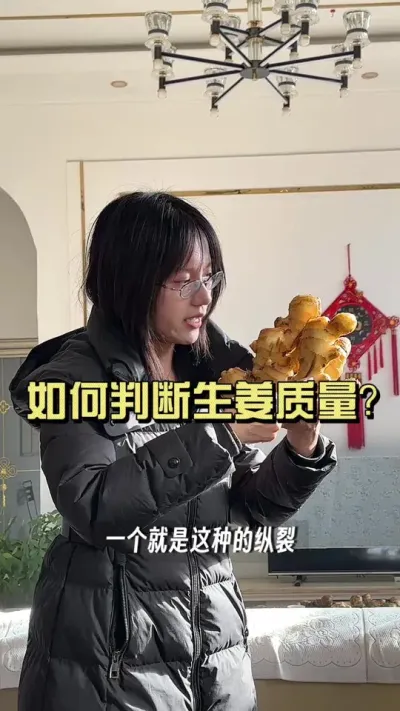 质量好的大姜才是收益高的基础！#新农人计划2026 #来抖音学农技 #乡村守护人 #大姜种植