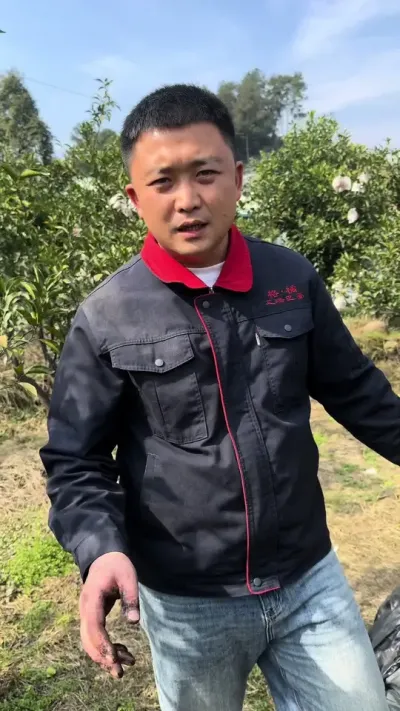 矿源黄腐酸10包更划算#柑橘种植 #关注我每天为你分享更多农业知识 #源头好货 #矿源黄腐酸钾 #腐植酸的功效与作用