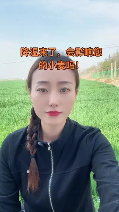 降温小麦怎么办？ 种地就是经历一次又一次老天爷的考验，我们能对抗的就去对抗，对抗不了的也不要过度焦虑！#抖音助农 #三农 #服务三农支持三农 #支持三农扶持三农发展 #倒春寒
