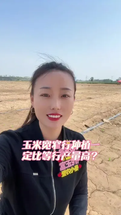 玉米种植宽窄行比等行种植产量高？ 种植考虑成本，让你增加成本的就没必要去做#三农 #抖音助农 #抖音助农扶农 #安徽创富种业有限公司 #富兴698
