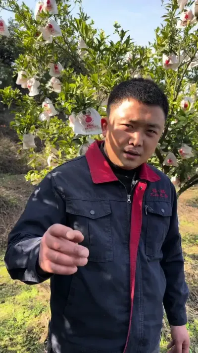 咬懒匠有吃皮#关注我每天为你分享更多农业知识 #现场实拍 #三农 #柑橘种植
